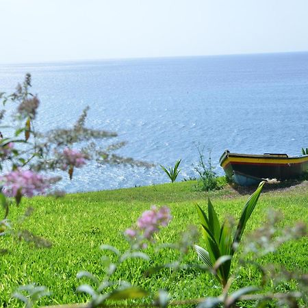 Quinta Golfinho Apartment Arco da Calheta  Luaran gambar