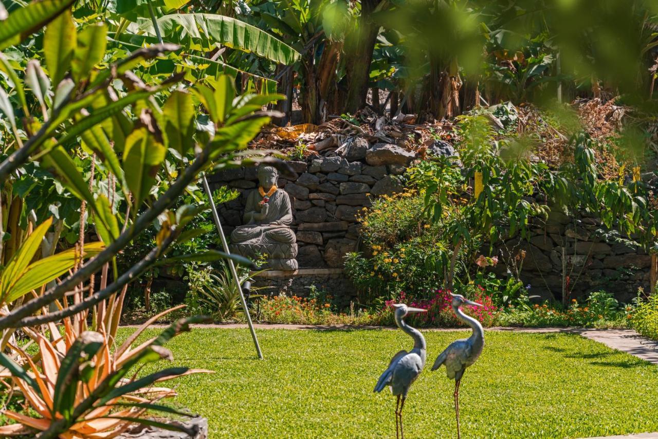 Quinta Golfinho Apartment Arco da Calheta  Luaran gambar
