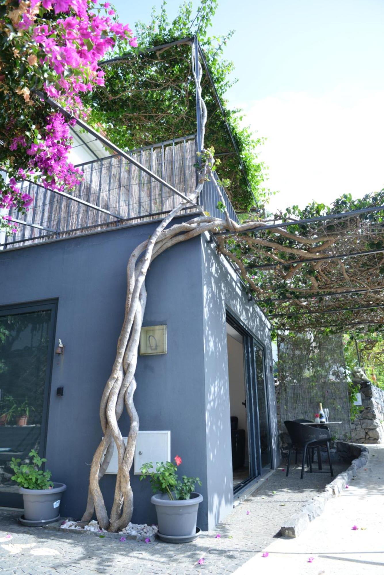 Quinta Golfinho Apartment Arco da Calheta  Luaran gambar