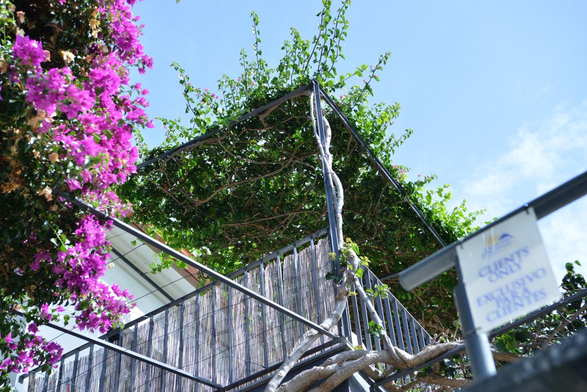 Quinta Golfinho Apartment Arco da Calheta  Luaran gambar