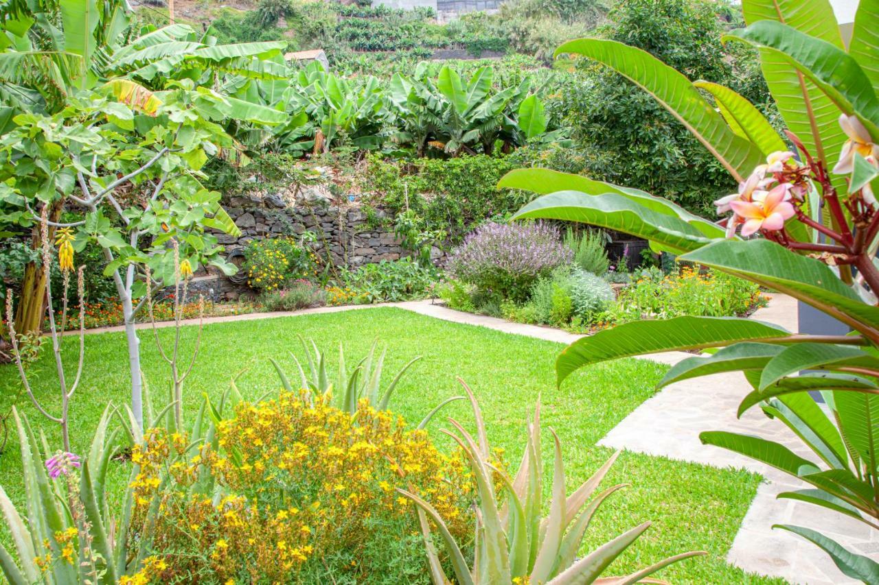 Quinta Golfinho Apartment Arco da Calheta  Luaran gambar
